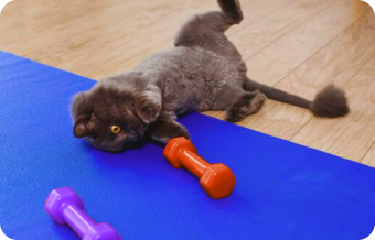 Контролируйте вторжение